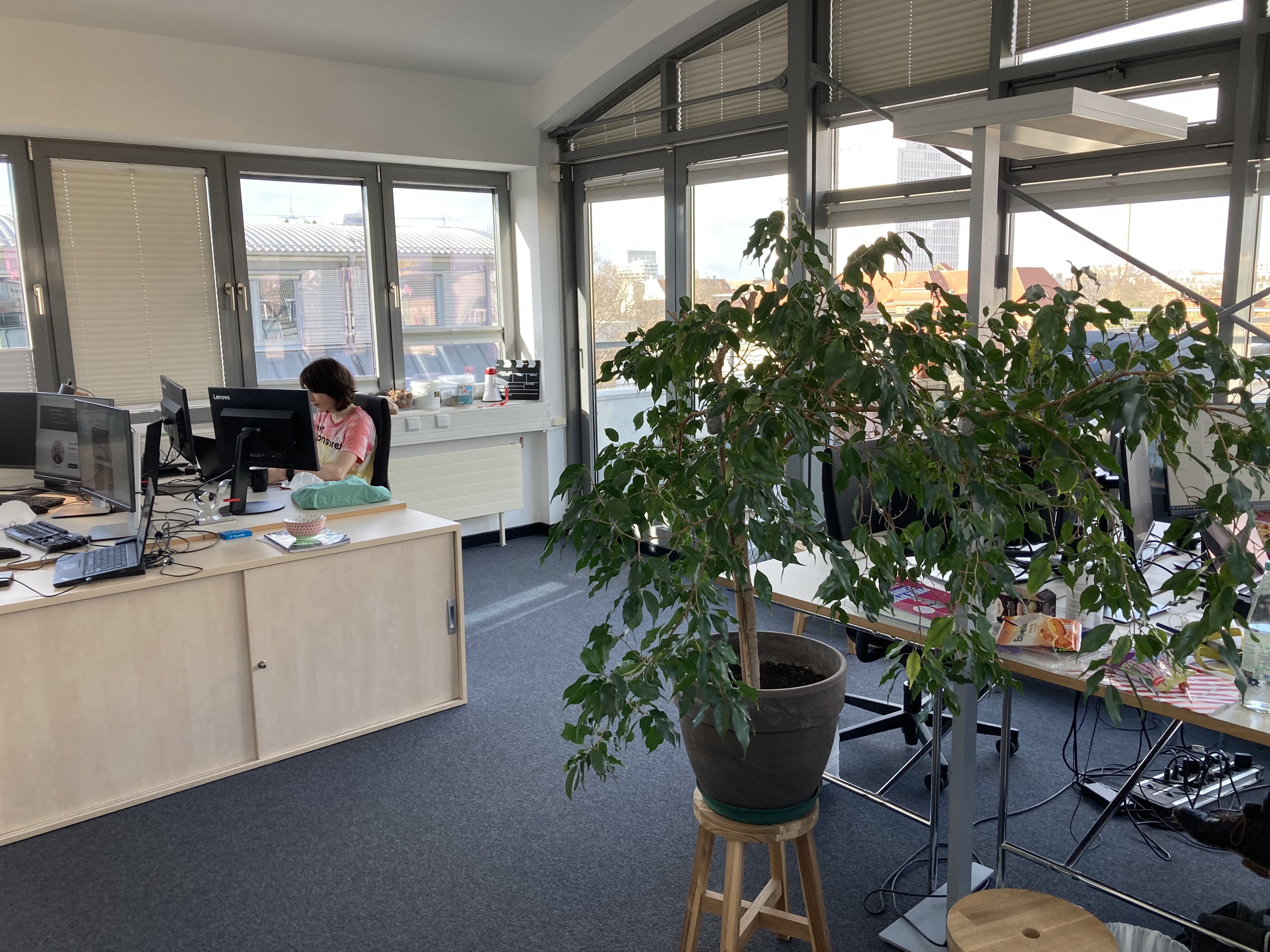 ein Office raum mit eine Planze und 3 Tischen
